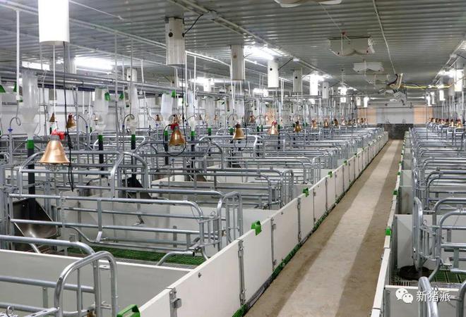 增鑫科技：15年专注生猪养殖设备以极致专业赋能养猪业(图2)