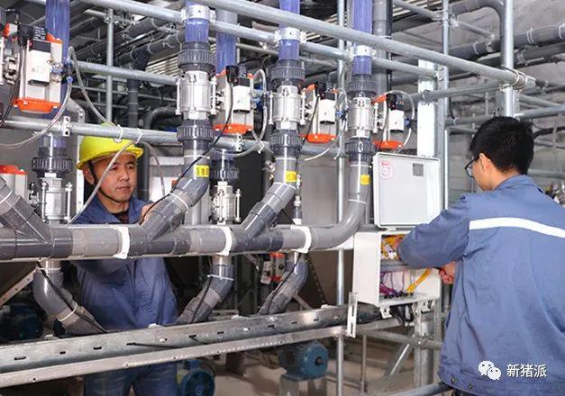 增鑫科技：15年专注生猪养殖设备以极致专业赋能养猪业(图4)