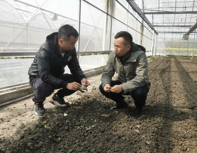 养猪产生的废弃物居然有大用途！看过来→(图3)