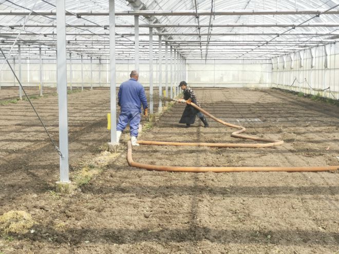 养猪产生的废弃物居然有大用途！看过来→(图2)