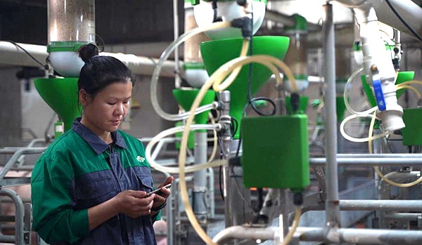 玩玩手机就能养猪？“云养凯发旗舰厅猪”成为现实(图2)