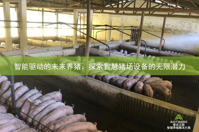 凯发国际智能驱动的未来养猪：探索智慧猪场设备的无限潜力