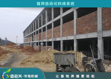 养猪人一定要了解的资深养猪人的5个建议