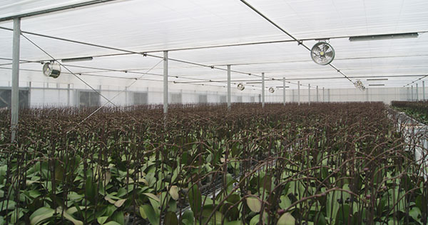 山东杰诺温控设备制造有限公司(图2)