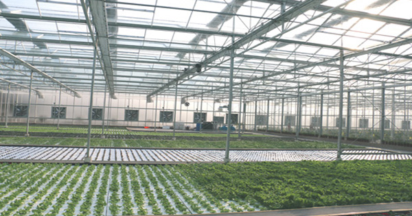 山东杰诺温控设备制造有限公司