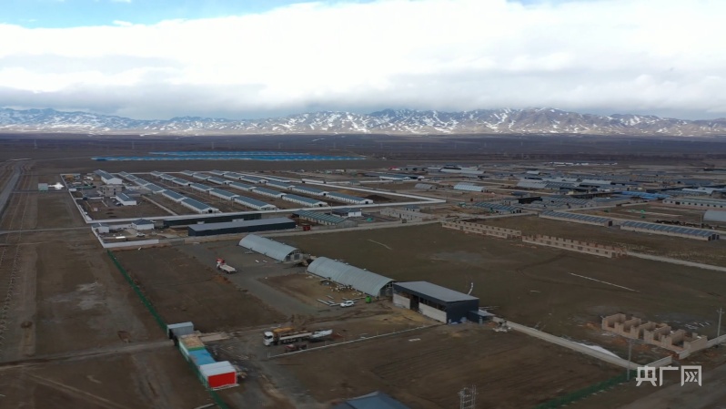 高质量发展“新ag凯发”速度丨园区化发展畜牧业为乡村振兴添动能(图3)