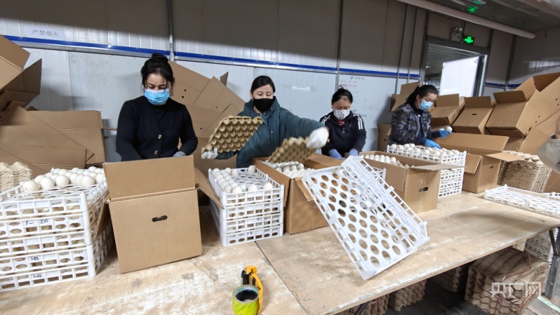 高质量发展“新ag凯发”速度丨园区化发展畜牧业为乡村振兴添动能(图2)