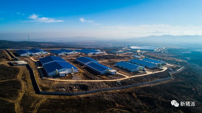 每年为500万头猪安家！南牧专注于打造智慧猪场为养猪降本增效(图7)