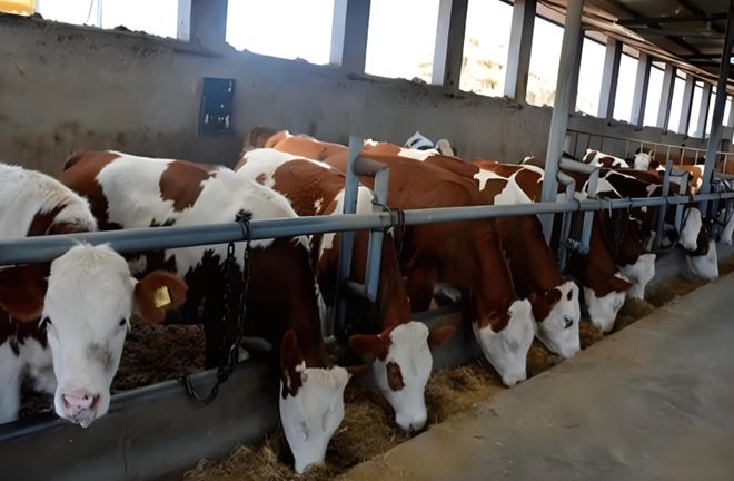 养猪场恶臭监测系统、畜牧养殖业臭气监测仪、规范养殖场环境