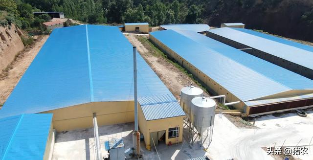 ag凯发300头母猪自繁自养建场+设备+进猪需要多少投资？