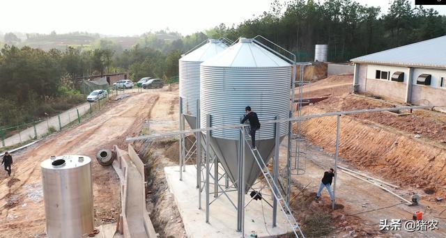 ag凯发300头母猪自繁自养建场+设备+进猪需要多少投资？(图3)