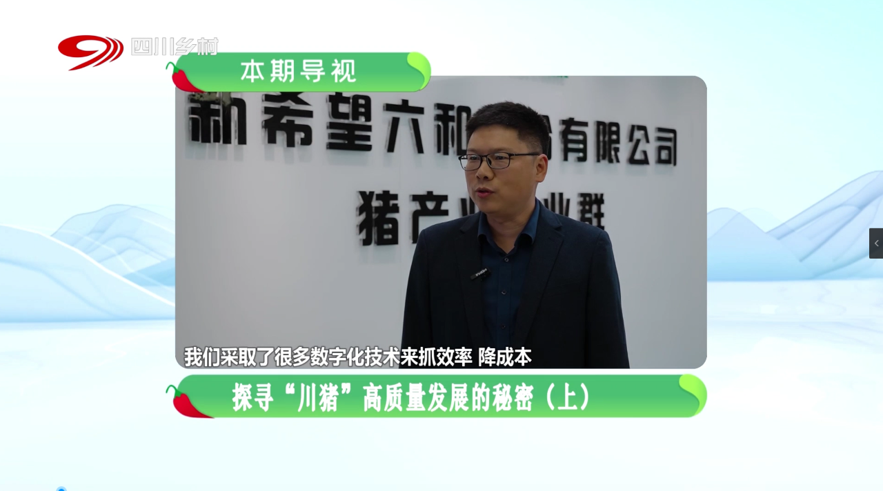 如何推进生猪养凯发旗舰厅殖“新质生产力”？四川电视台聚焦新希望创新实践(图6)