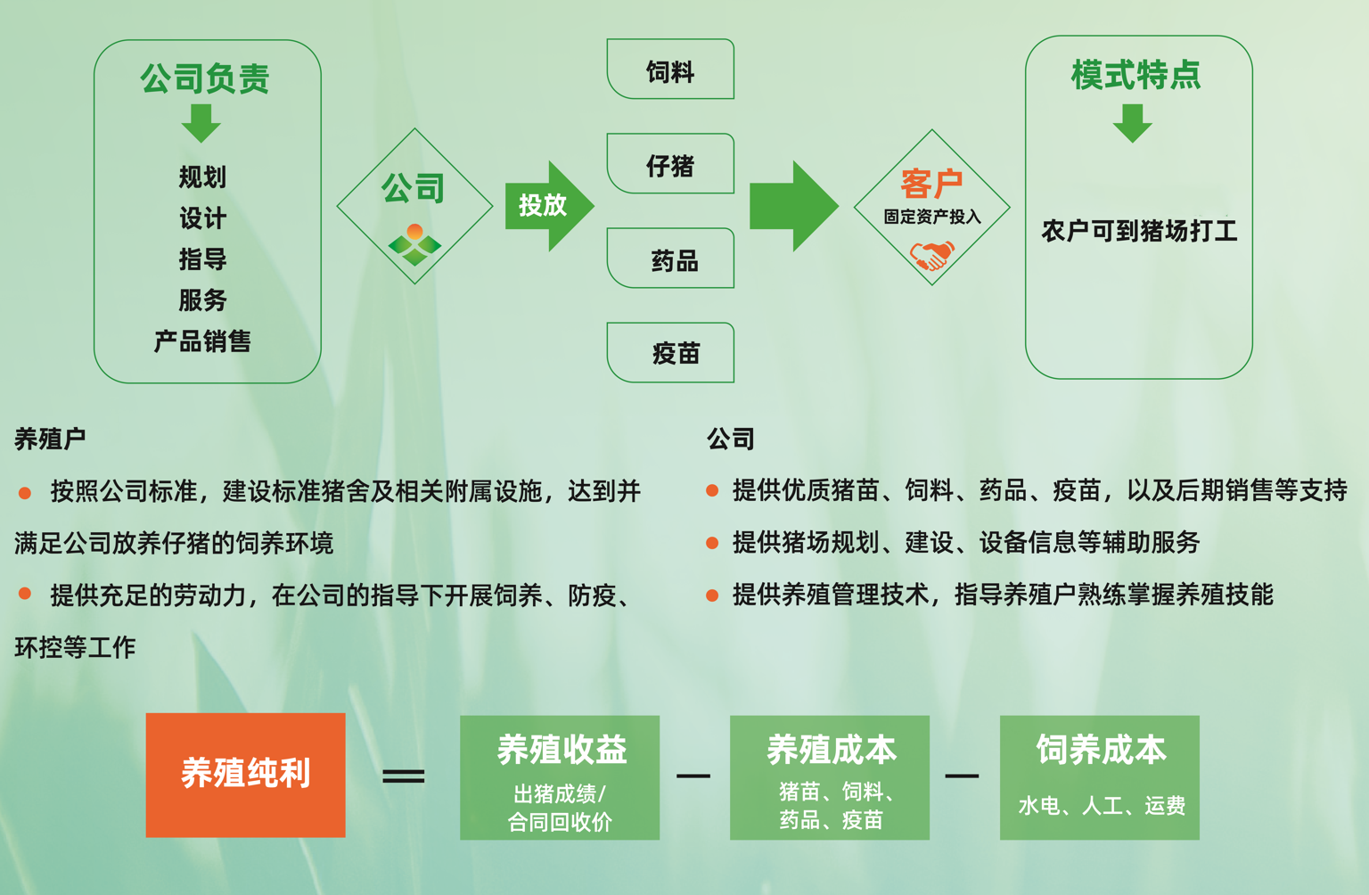 如何推进生猪养凯发旗舰厅殖“新质生产力”？四川电视台聚焦新希望创新实践(图7)