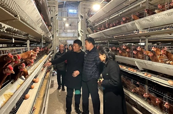 扬州市春季畜牧生产平稳开局