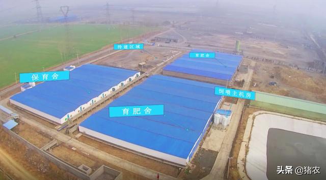 养猪场为啥少不了现代化设备？购设备是交智商税吗？听农户怎么说