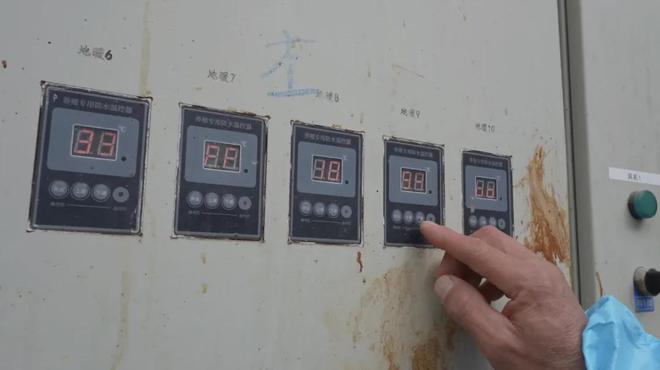 观察｜泸定：科技赋能打造生猪全产业链保障群众“菜凯发旗舰厅蓝子”(图6)