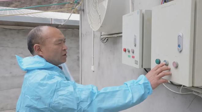 观察｜泸定：科技赋能打造生猪全产业链保障群众“菜凯发旗舰厅蓝子”(图8)