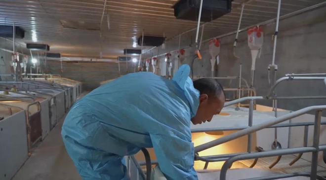 观察｜泸定：科技赋能打造生猪全产业链保障群众“菜凯发旗舰厅蓝子”(图9)