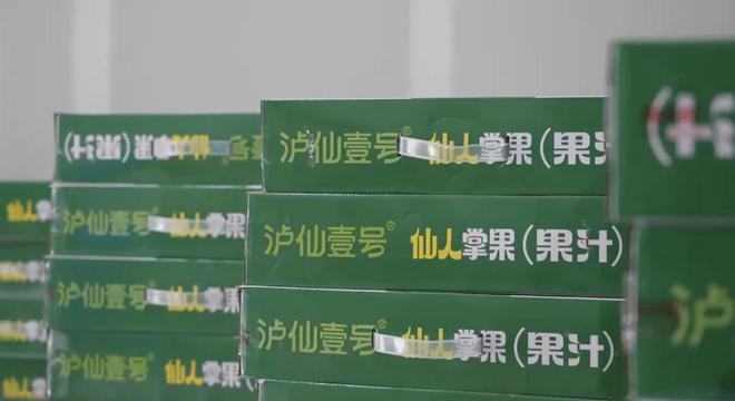 观察｜泸定：科技赋能打造生猪全产业链保障群众“菜凯发旗舰厅蓝子”(图11)