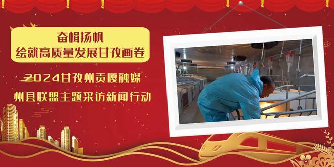 观察｜泸定：科技赋能打造生猪全产业链保障群众“菜凯发旗舰厅蓝子”(图13)