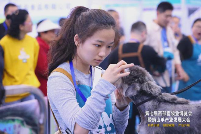 第七届西部畜牧业博览会暨奶山羊产业发展大会在杨凌开幕(图6)