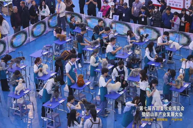 第七届西部畜牧业博览会暨奶山羊产业发展大会在杨凌开幕(图5)