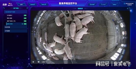 凯发旗舰厅畜牧养殖环境监测控制系统信息化管理养殖场(图5)