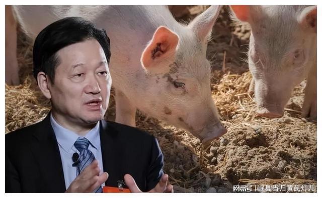 弟弟彩礼借款助兄养猪哥哥致富2000亿弟弟仍甘守平凡(图3)