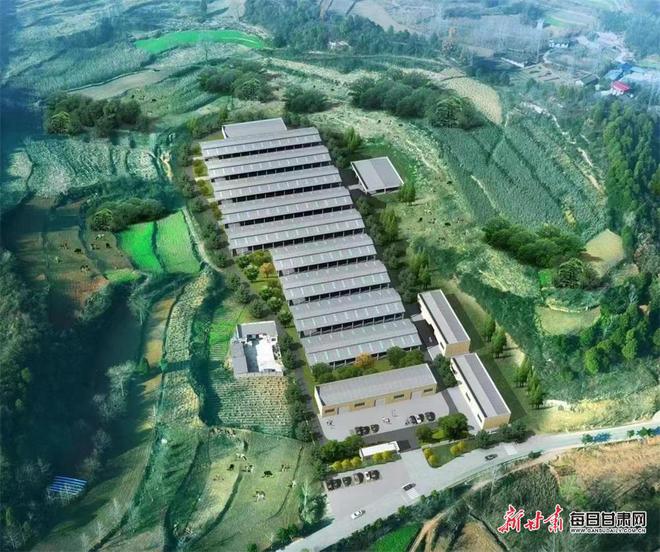 凯发旗舰厅项目为媒“牵线”徽县畜牧产业结硕果(图2)