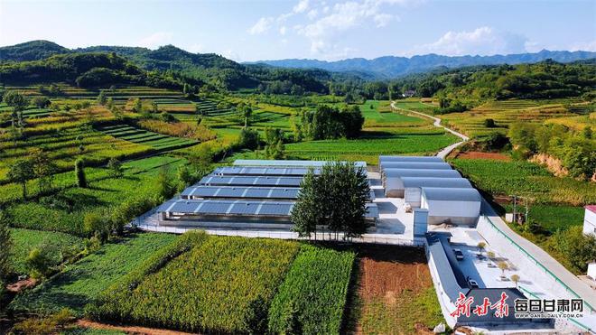 凯发旗舰厅项目为媒“牵线”徽县畜牧产业结硕果