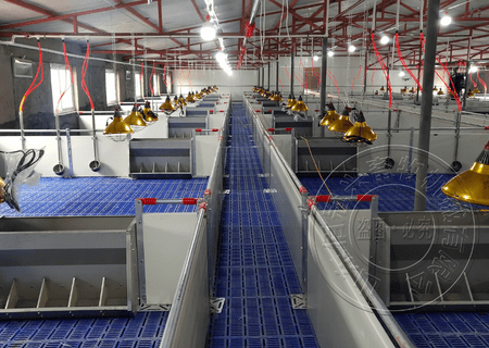 猪场少不了的几个自动化养猪设备(图2)