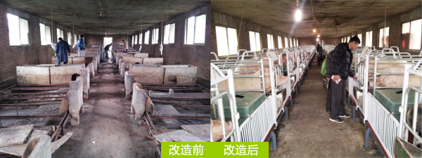 养猪设备生产厂家凯发国际(图9)