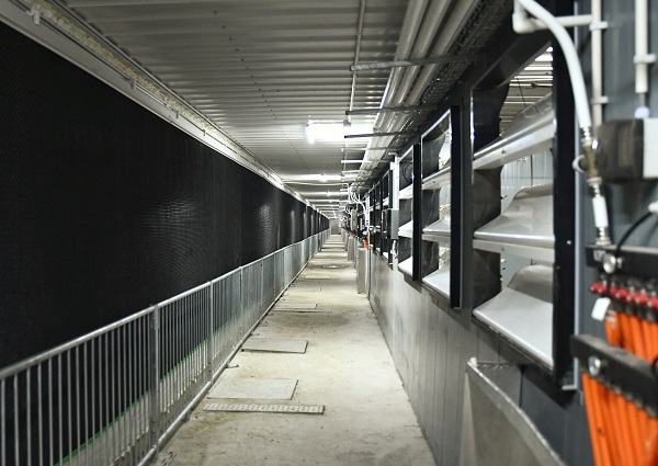 猪猪住楼房秧苗躺机床(图3)