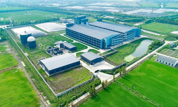 猪猪住楼房秧苗躺机床