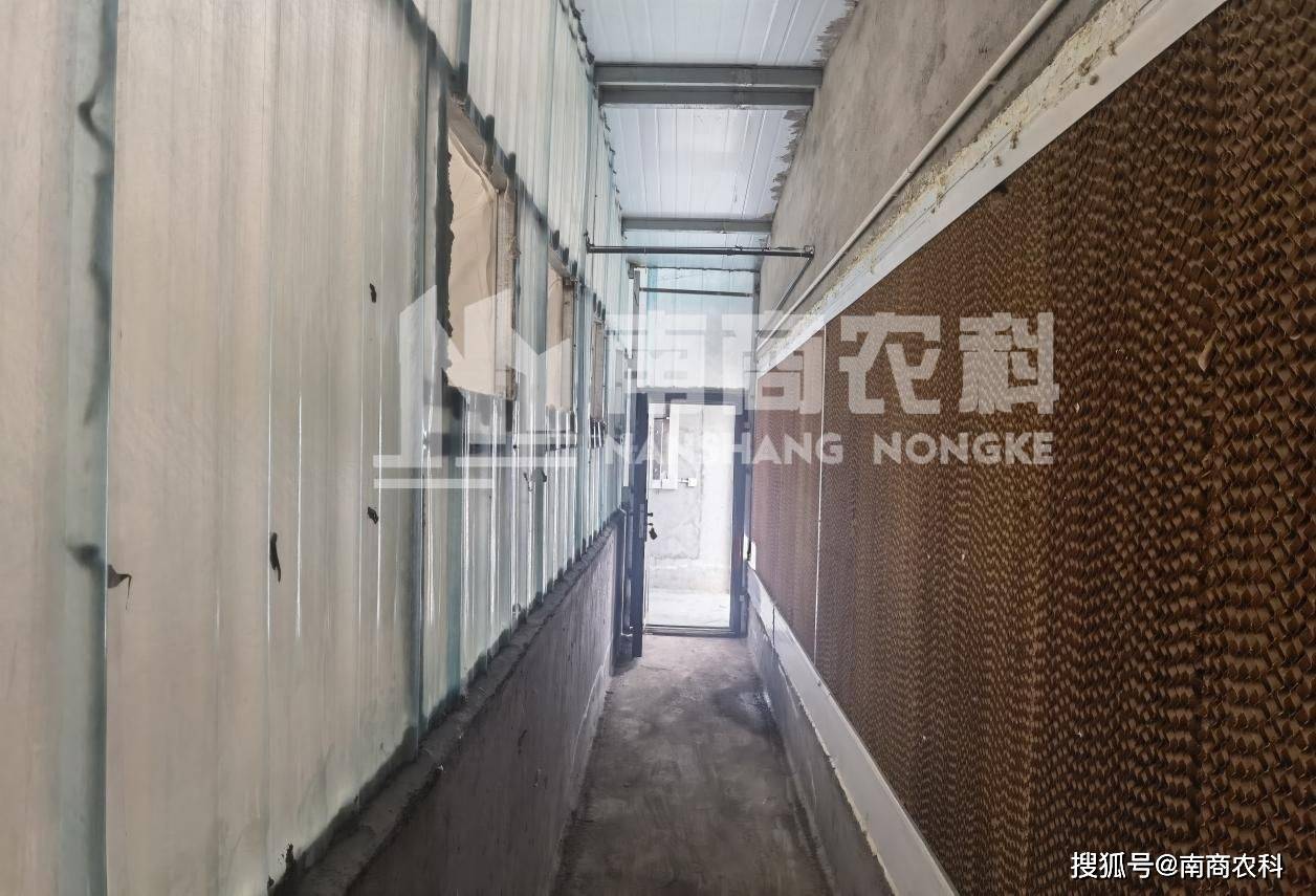 投资8凯发旗舰厅00万建猪场这个投资回报你可能想不到(图2)