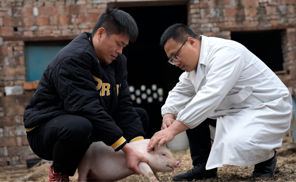 “铁脚板”兽医刘凯：行走800公里村道照亮养殖户希望之光(图2)