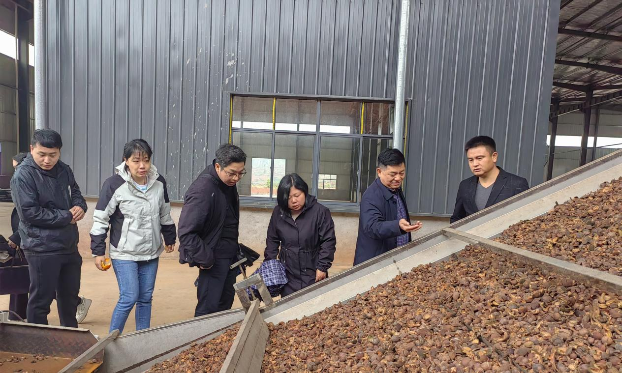 科企融合科技特凯发旗舰厅派员成为企业赋能添智的好助手(图2)