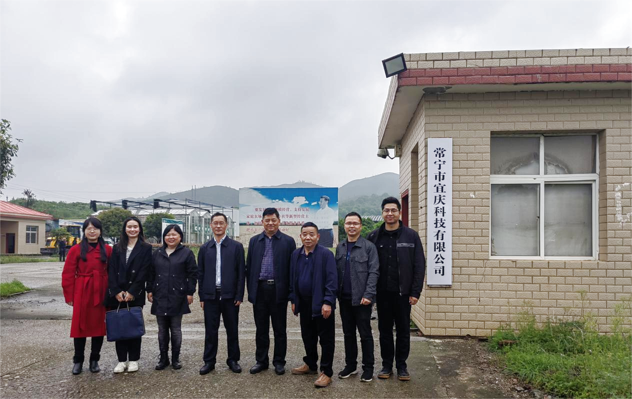 科企融合科技特凯发旗舰厅派员成为企业赋能添智的好助手