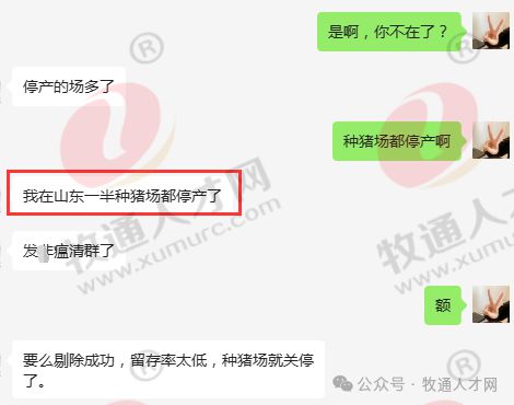 【牡丹生物·特约】又一知名猪企发停工通知！300多名员工陆续安置种猪场员工4月1日起待岗(图2)