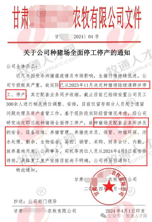 【牡丹生物·特约】又一知名猪企发停工通知！300多名员工陆续安置种猪场员工4月1
