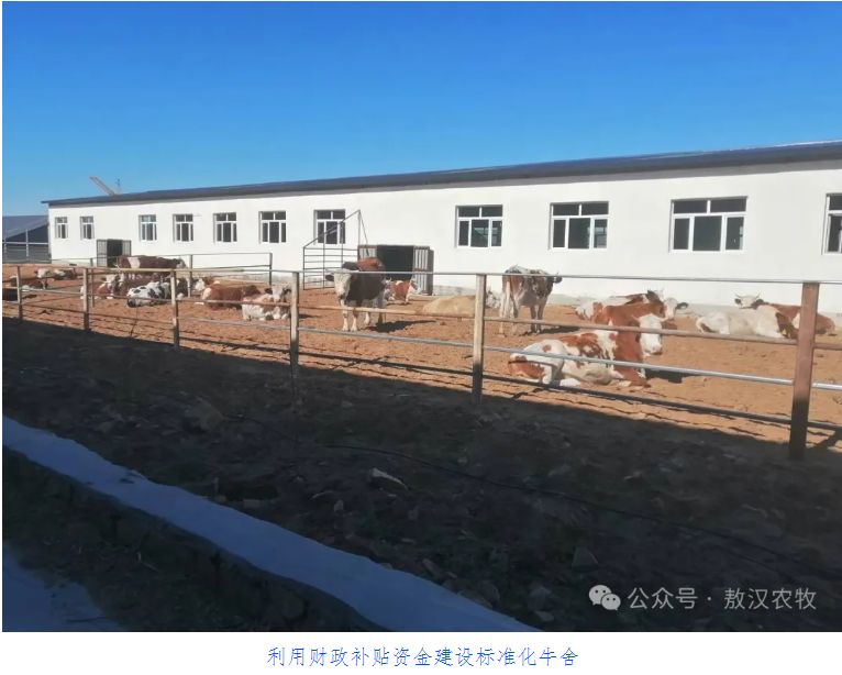 “三个到位”擘画肉牛产业发展新篇章