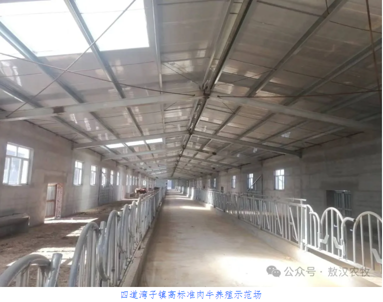 “三个到位”擘画肉牛产业发展新篇章(图2)