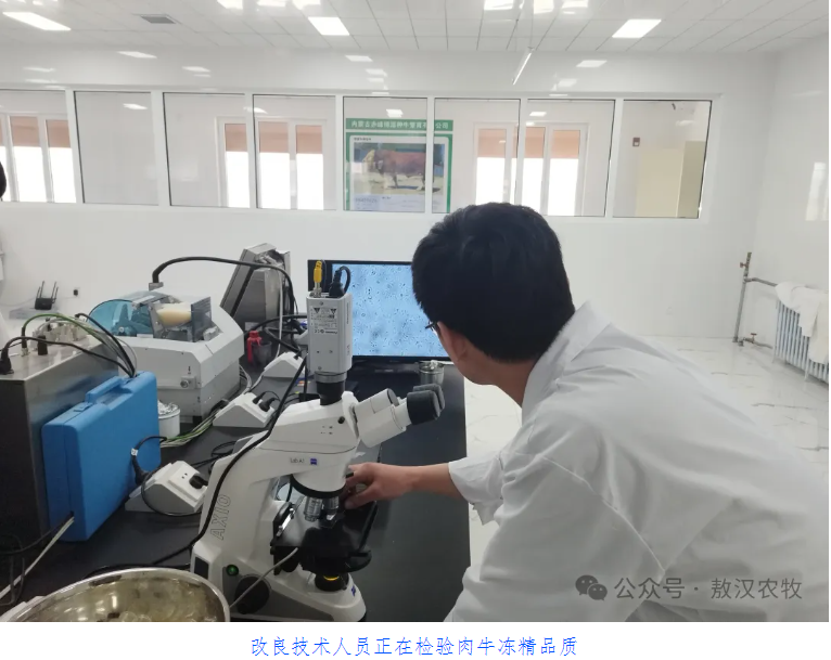 “三个到位”擘画肉牛产业发展新篇章(图3)