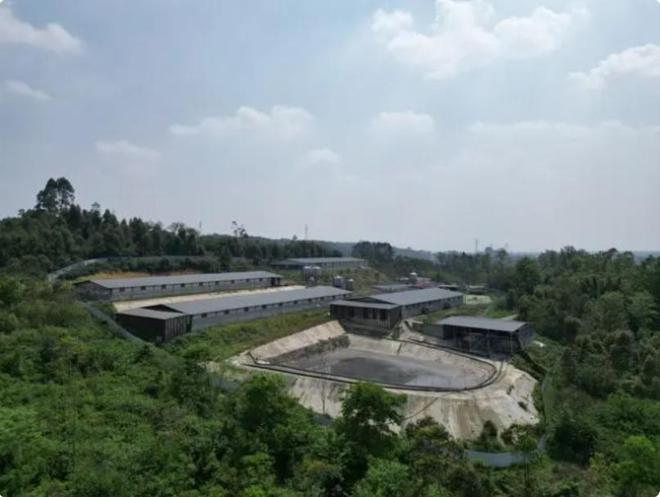 痛心！四川一养猪场7人惨死知情人曝光原因更让人头皮发麻！(图2)