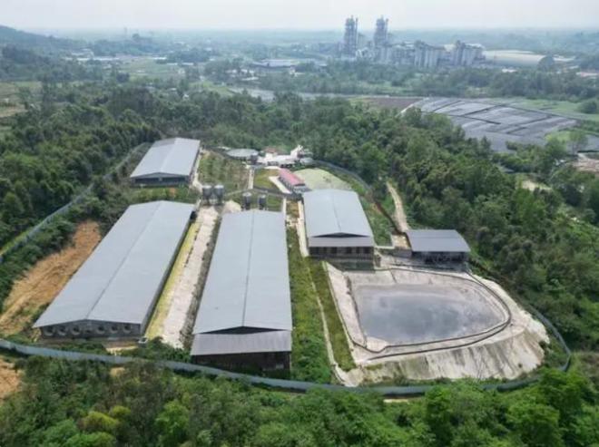 痛心！四川一养猪场7人惨死知情人曝光原因更让人头皮发麻！