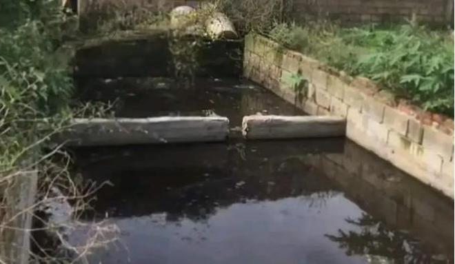 痛心！四川一养猪场7人惨死知情人曝光原因更让人头皮发麻！(图3)