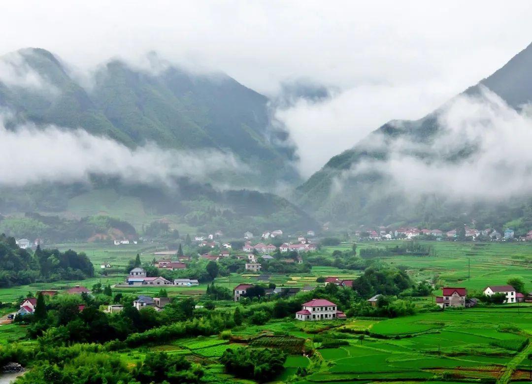 涉及种植业、畜牧业、渔业等浙江出台实施意见