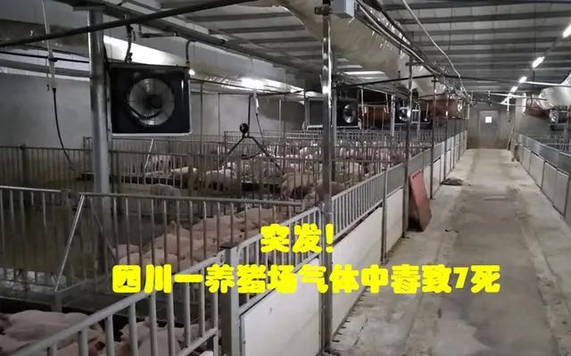 四川一养猪场化粪池发生气体中毒事故如何消除化粪池安全隐患？ag凯发(图6)