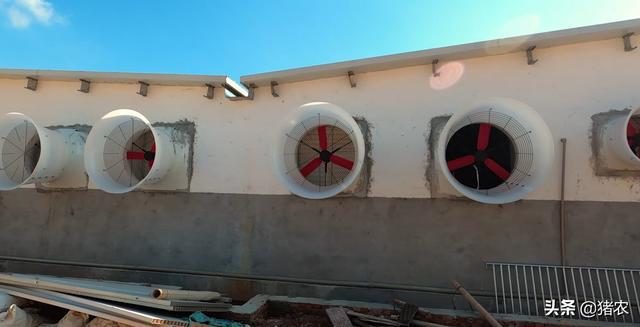 补贴来了！农业农村部支持1268万个养殖场购置生猪生产机具(图3)