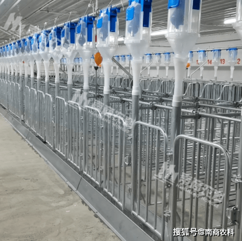 养猪场设备攻略收藏起来慢慢看ag凯发(图4)